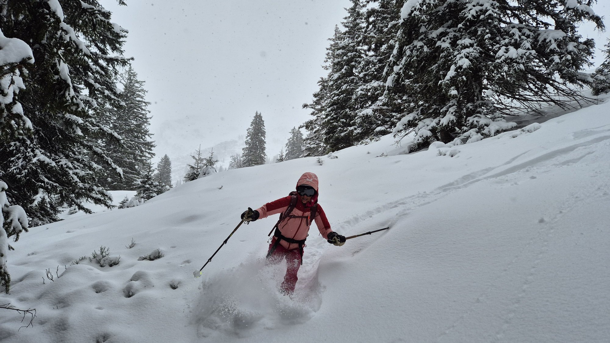 Isabelle Ledergerber beim Skifahren im frischen Pulverschnee im Wald